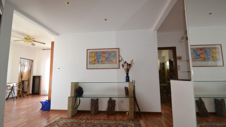 immobiliare il Quadrifoglio Trieste