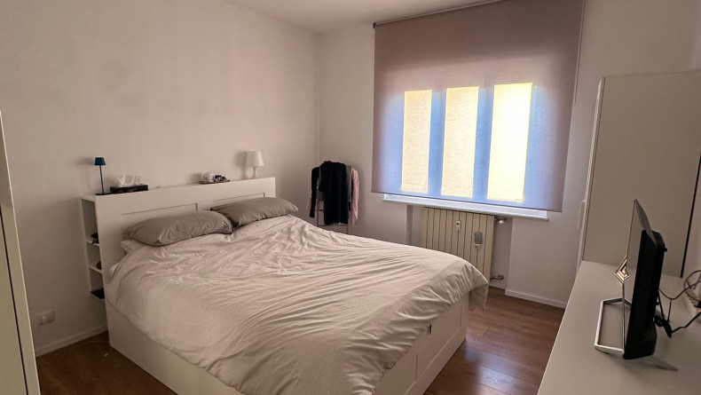 immobiliare il Quadrifoglio Trieste