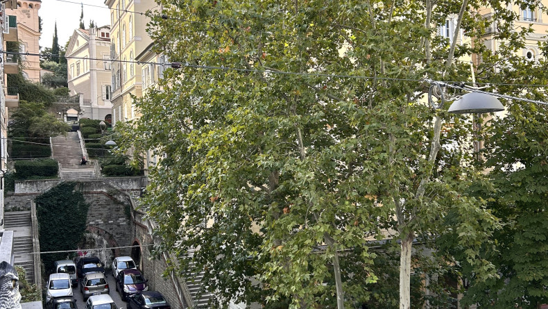 immobiliare il Quadrifoglio Trieste