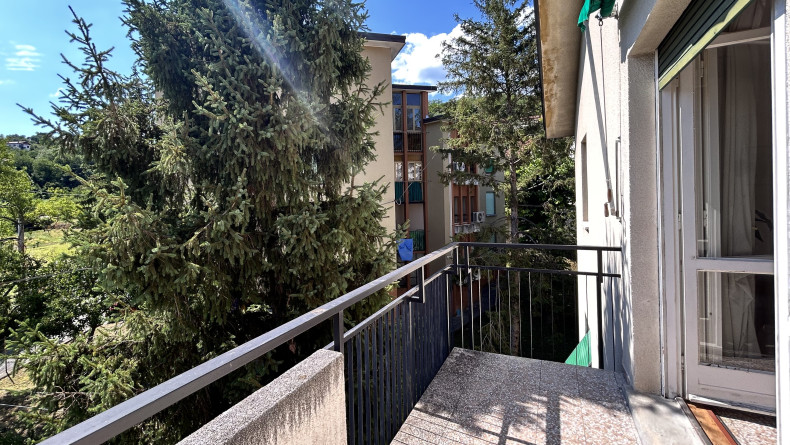 immobiliare il Quadrifoglio Trieste