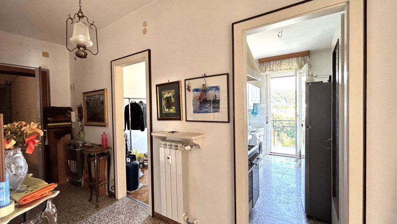 immobiliare il Quadrifoglio Trieste