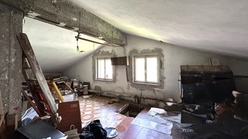 immobiliare il Quadrifoglio Trieste