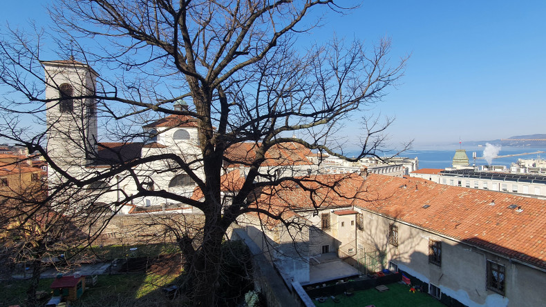 immobiliare il Quadrifoglio Trieste