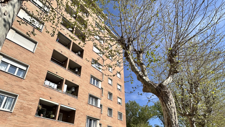 immobiliare il Quadrifoglio Trieste