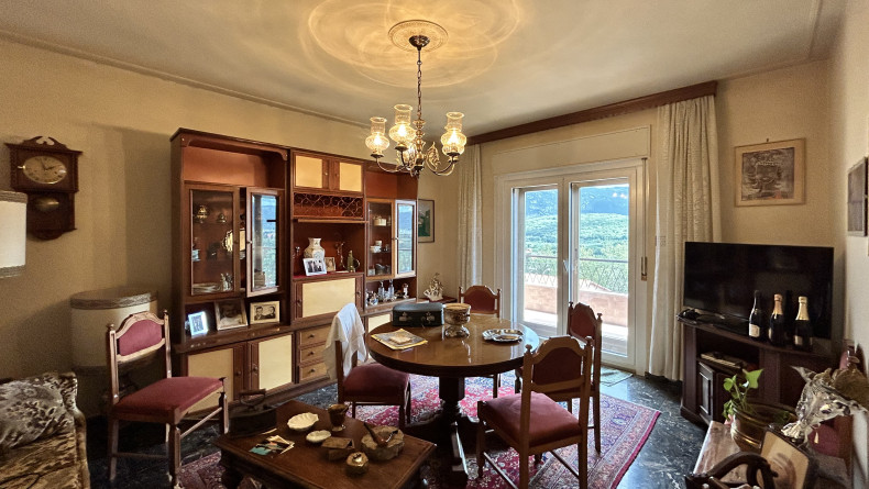 immobiliare il Quadrifoglio Trieste